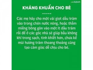 Tinh dầu tràm TRẦN MAO
