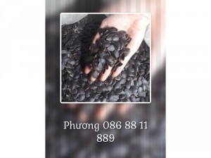 Hạt bí mèo đen