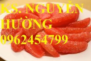 Cung cấp Giống cây bưởi đào chuyên, bưởi phúc trạch, bưởi đoan hùng, bưởi đào đường.