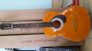 Đàn guitar sinh viên giá rẻ