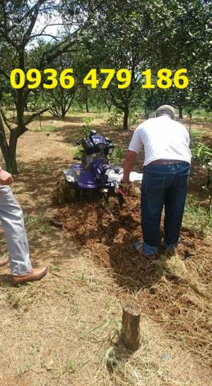 Bán máy cày chạy dầu Kama từ Đức 6-9 ngựa vượt mọi địa hình