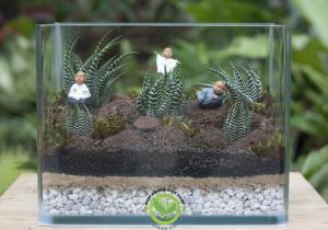 Terrarium-Móng rồng hồ đúc