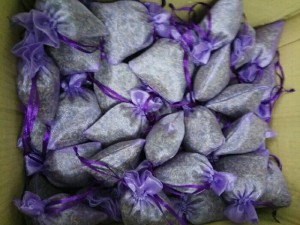 Sỉ lẻ túi thơm từ nụ hoa Lavender pháp