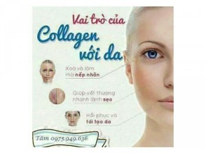 Collagen tươi Linh Hương