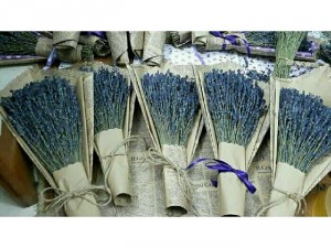 Hoa khô lavender Pháp