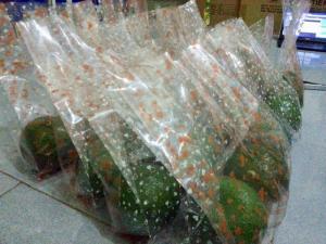 Bơ Booth Daklak Hàng Cuối Mùa Ngon, Béo, Dẻo