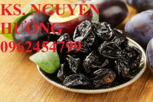 Cây giống mận đen Đài Loan, mận đen nhập khẩu. Chuẩn giống, giá tốt