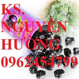 Cây giống mận đen Đài Loan, mận đen nhập khẩu. Chuẩn giống, giá tốt