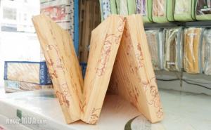Nệm pe hàn quốc gía rẻ khuyến mãi lớn: 1m6x2mx10cm.