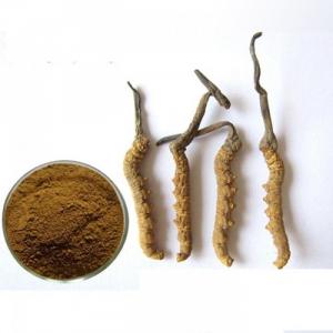 Đông trùng hạ thảo