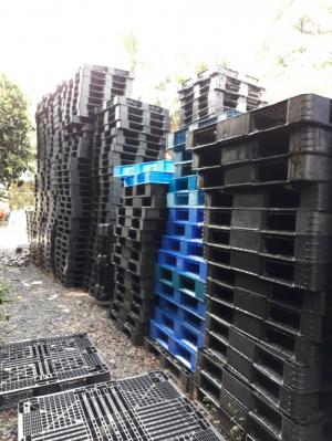 Pallet nhựa cũ Nhật Bản 1200 x 1000 x 120 mm