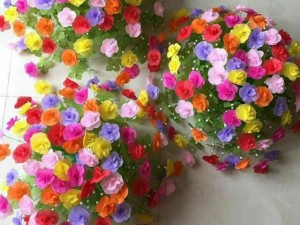 Hoa gấm để bàn, treo tường
