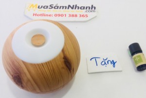 Sử dụng công nghệ sóng siêu âm không tạo nhiệt để biến nước và tinh dầu thành lớp hơi sương mỏng nhẹ. Vì thế, đặc tính trị liệu của tinh dầu được giữ nguyên, giúp bạn khai thác tối đa hiệu quả của tinh dầu quý.