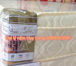 Quy cách: 1,6m x 2m x 28cm
Giá công ty: 6.890.000₫
Giá khuyến mại: liên hệ để có giá tốt nhất + quà tặng