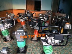 đầm cóc giá rẻ