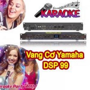 Bán Vang Cơ Karaoke Dsp - 99