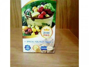 Phân sinh học Rồng Việt