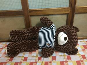 Gấu teddy 1m2