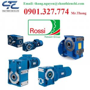 Hộp Giảm Tốc Rossi Tại Việt Nam