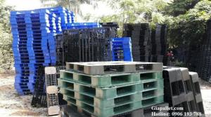 Pallet nhựa mới - Kích thước 1100 x 1100 x 125mm