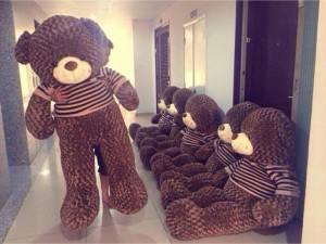 Gấu Teddy dài 1m2