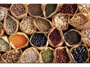 Bột tăng - giảm cân -tăng vòng 1 herby