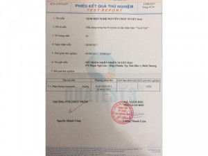 Tinh bột nghệ