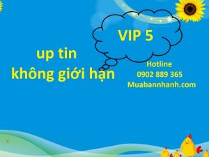 VIP 5 Up tin không giới hạn trên Muabannhanh.com