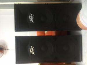 Bán chuyên loa PEAVEY DPE 215