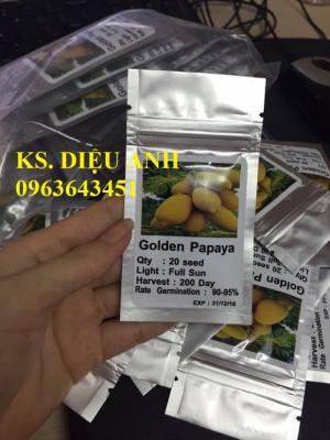 Cây giống, hạt giống đu đủ vàng lùn Thái lan, đu đủ da vàng Thái chuẩn, uy tín