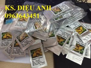 Cây giống, hạt giống đu đủ vàng lùn Thái lan, đu đủ da vàng Thái chuẩn, uy tín