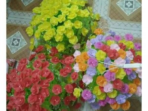 Hoa giấy