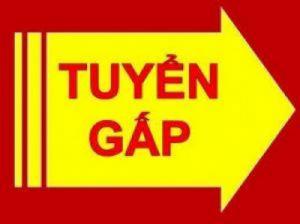 Cần tuyển 8 nhân viên nhặt bóng tại các sân tennis và bán vé xem phim trong nội thành Hà Nội.