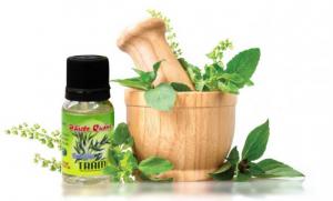 Tinh dầu tràm cao cấp 10ml