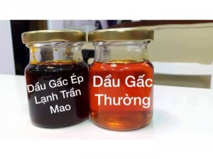 Dầu gấc ép lạnh Trần Mao