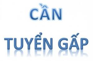 Tuyển Gấp Nhân Viên Văn Phòng.