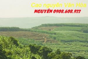 Tour du lịch trải nghiệm Phú Yên - Hành trình tuổi trẻ