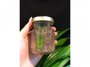 Yến chưng sẵn 70ml