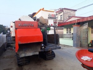 Cần thanh lí gấp 1 máy cắt lúa kuputa 95