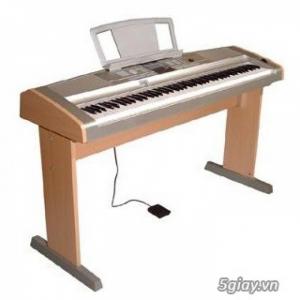 Bán đàn piano Yamaha DGX-500 - Bảo hành 1 năm tại nhà