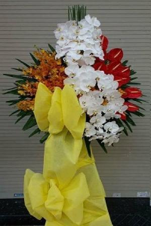 Hoa Sự kiện