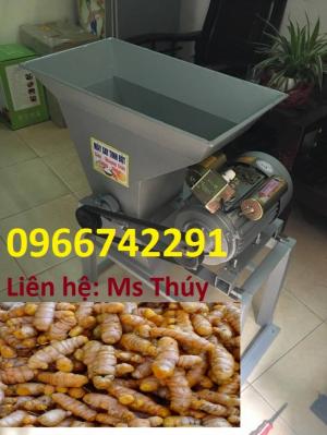 Máy Xay Nghiền Nghệ Tươi Loại To