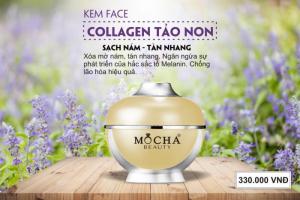 Kem trị nám Face collagen tảo non