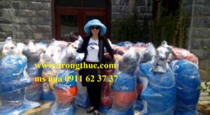tư vấn bán thùng rác công cộng cho xí nghiệp môi trường