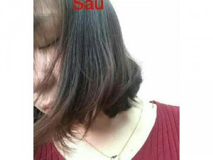 Túi gội