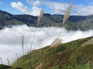 Tour săn mây y tý 2 ngày 1 đêm - vietmountain travel