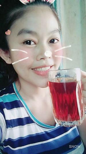 trà bí đao phương vân , trà bí đao giảm cân