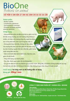 Bán men vi sinh Bacillus licheniformis nguyên liệu nhập từ Mỹ