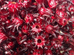 Cung cấp sỉ, lẻ hoa atiso đỏ