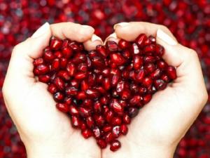 Cung cấp giống cây lựu lùn Ân Độ, lựu lùn đỏ F1, lựu lùn đỏ cao sảnh, cây giống nhập khẩu chất lượng cao